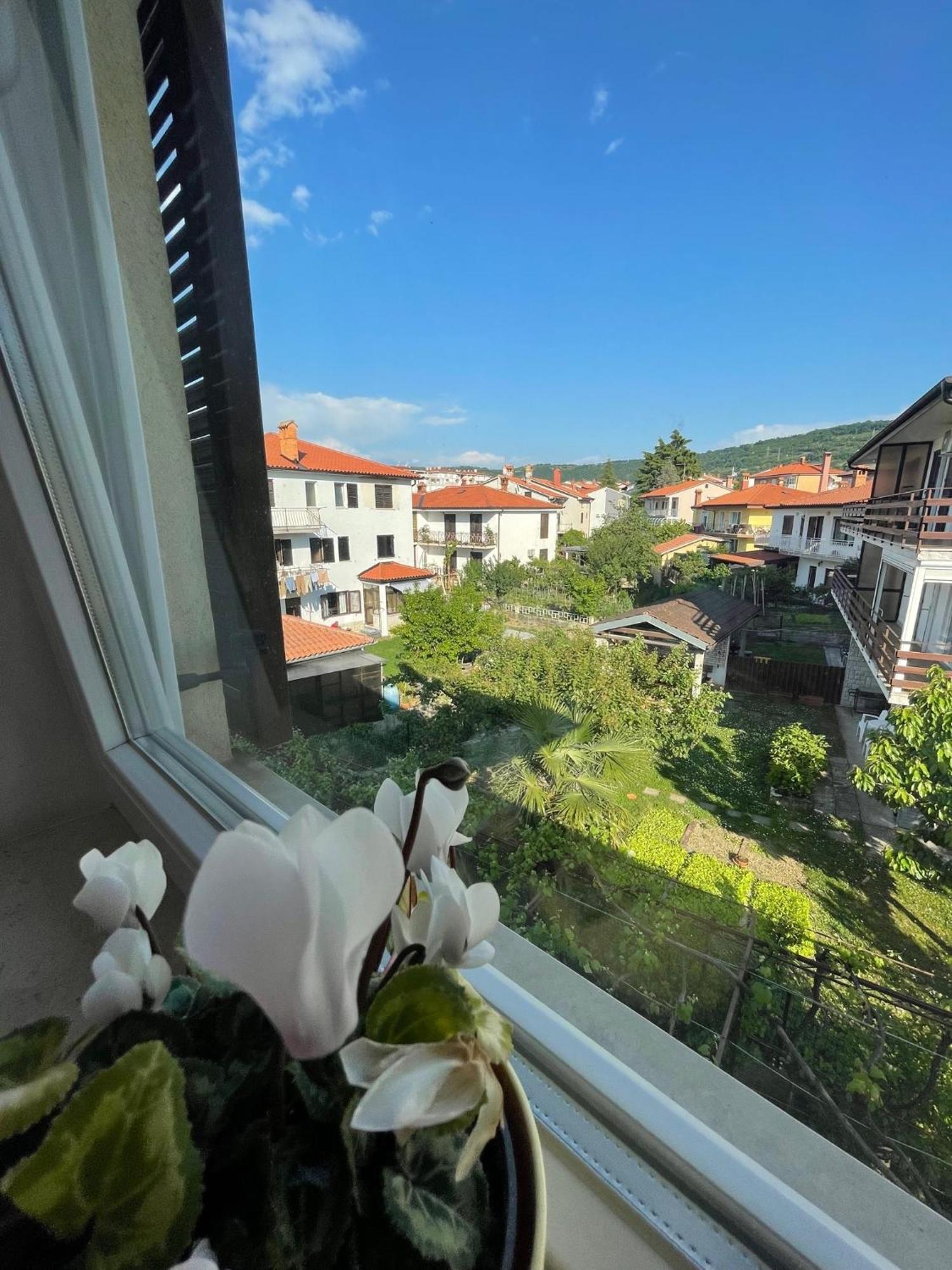 Garni Hotel Keltika إيزولا المظهر الخارجي الصورة