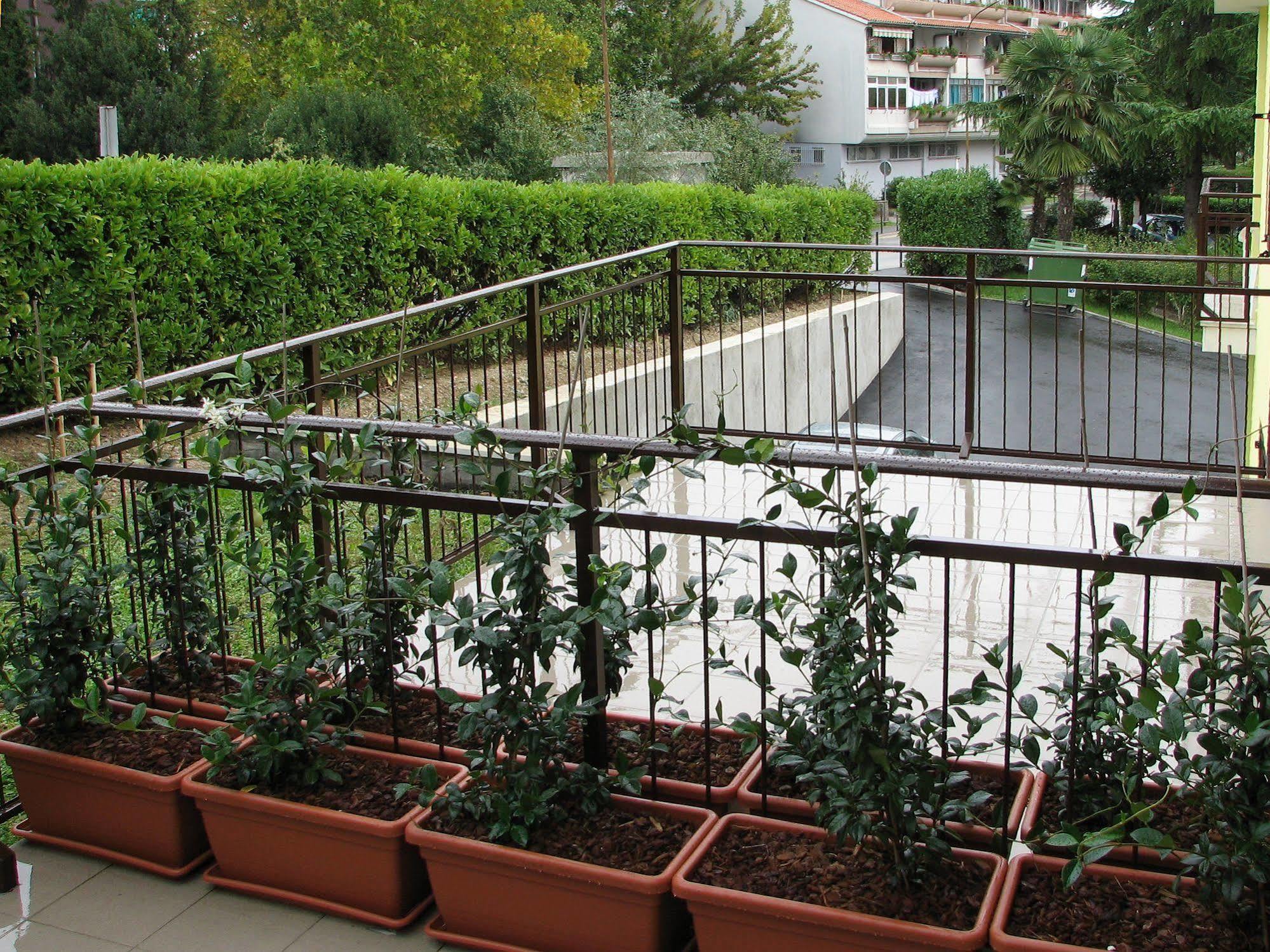 Garni Hotel Keltika إيزولا المظهر الخارجي الصورة